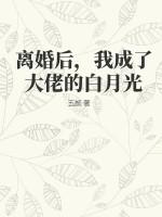 离婚后,我成了大佬的白月光